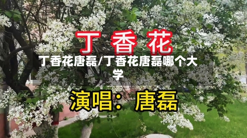 丁香花唐磊/丁香花唐磊哪个大学-第2张图片