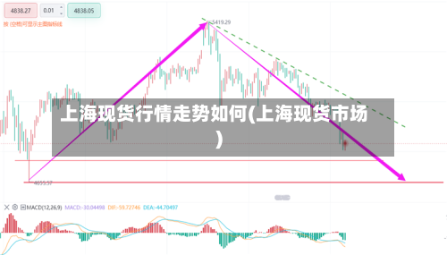 上海现货行情走势如何(上海现货市场)-第1张图片