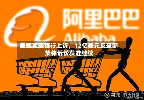 美国比较高法院驳回银行上诉	，12亿美元反垄断集体诉讼获准继续-第1张图片