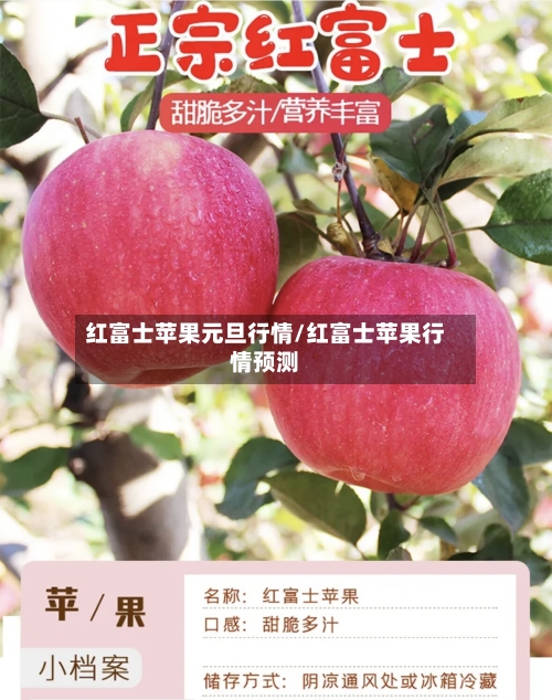 红富士苹果元旦行情/红富士苹果行情预测-第1张图片
