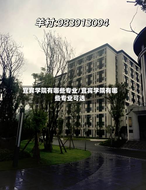 宜宾学院有哪些专业/宜宾学院有哪些专业可选-第1张图片