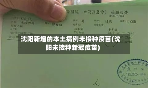 沈阳新增的本土病例未接种疫苗(沈阳未接种新冠疫苗)-第1张图片
