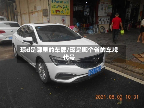 琼d是哪里的车牌/琼是哪个省的车牌代号-第3张图片