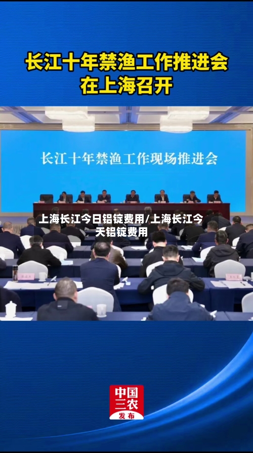 上海长江今日铝锭费用/上海长江今天铝锭费用-第3张图片