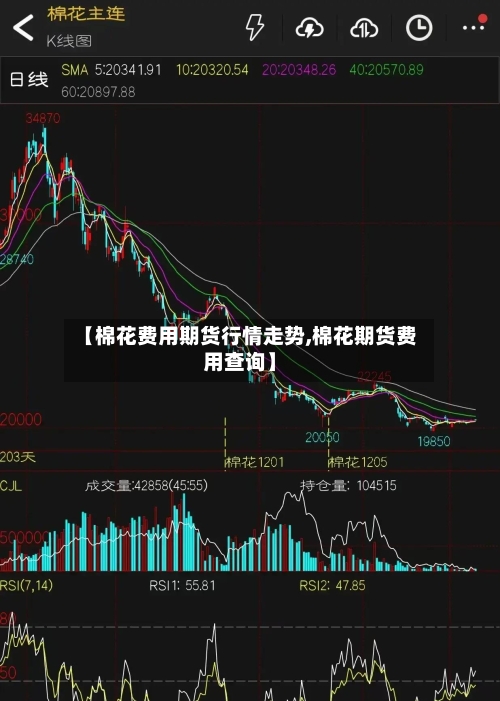 【棉花费用期货行情走势,棉花期货费用查询】-第2张图片