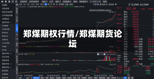 郑煤期权行情/郑煤期货论坛-第1张图片