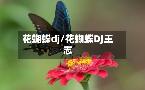 花蝴蝶dj/花蝴蝶DJ王志-第1张图片