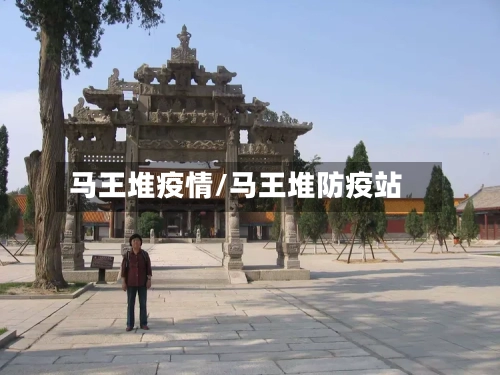 马王堆疫情/马王堆防疫站-第1张图片
