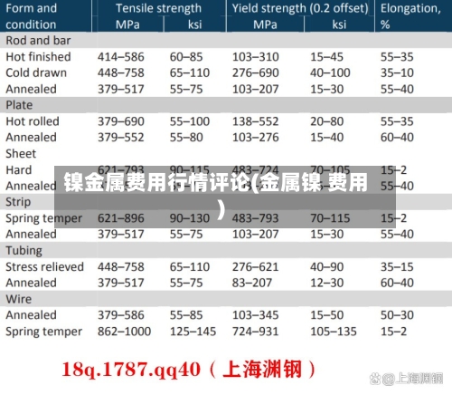 镍金属费用行情评论(金属镍 费用)-第1张图片