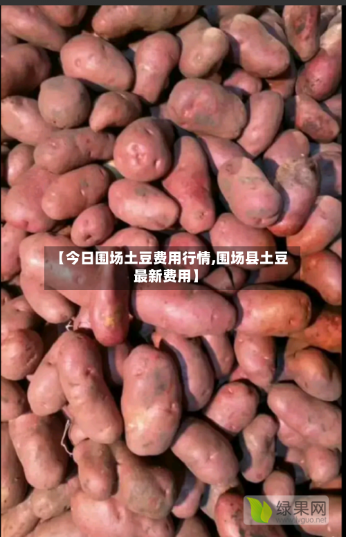 【今日围场土豆费用行情,围场县土豆最新费用】-第1张图片
