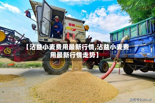 【沾益小麦费用最新行情,沾益小麦费用最新行情走势】-第1张图片