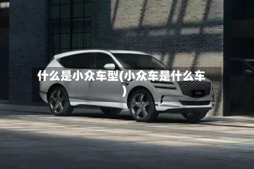 什么是小众车型(小众车是什么车)-第1张图片