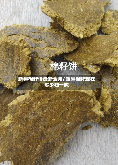 新疆棉籽价最新费用/新疆棉籽现在多少钱一吨-第1张图片