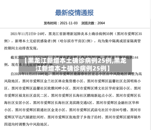 【黑龙江新增本土确诊病例25例,黑龙江新增本土确诊病例25例】-第1张图片