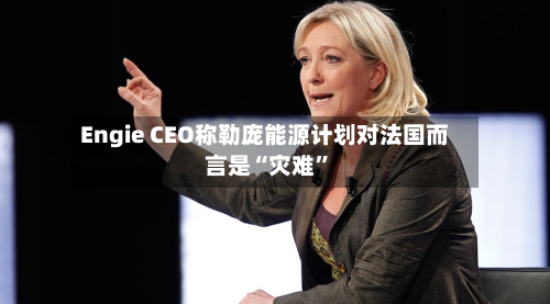Engie CEO称勒庞能源计划对法国而言是“灾难”-第2张图片