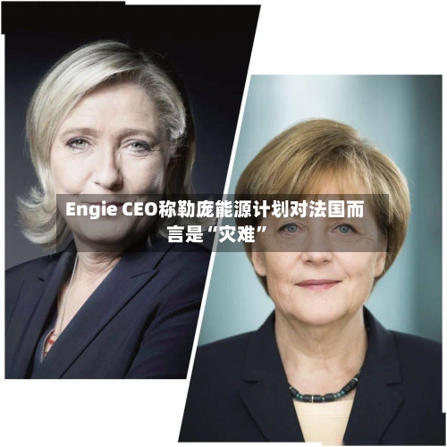Engie CEO称勒庞能源计划对法国而言是“灾难”-第1张图片