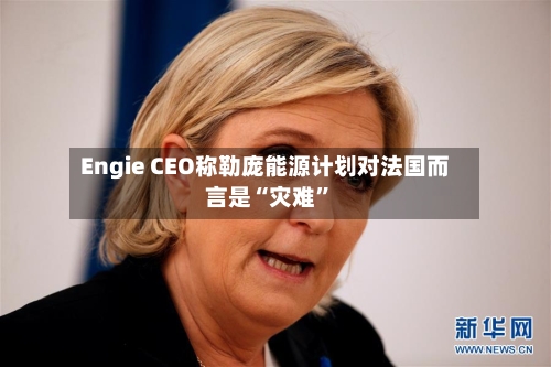Engie CEO称勒庞能源计划对法国而言是“灾难”-第3张图片
