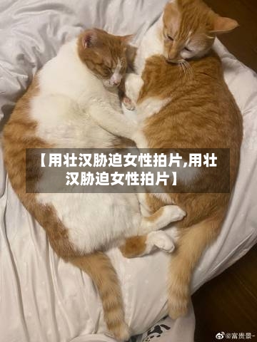 【用壮汉胁迫女性拍片,用壮汉胁迫女性拍片】-第1张图片