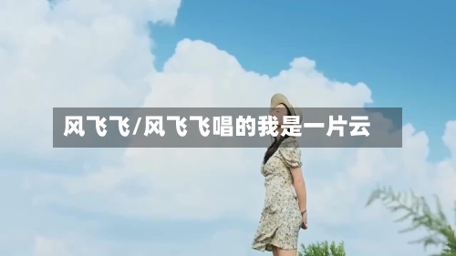 风飞飞/风飞飞唱的我是一片云-第3张图片