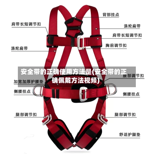 安全带的正确使用方法是(安全带的正确佩戴方法视频)-第1张图片