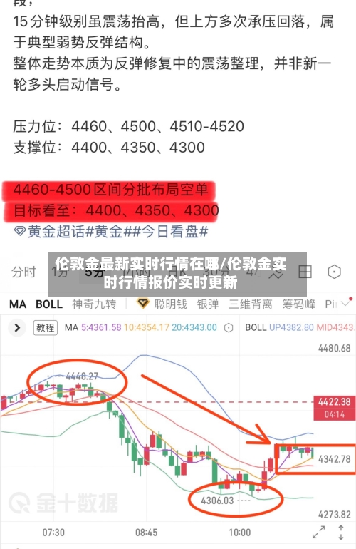伦敦金最新实时行情在哪/伦敦金实时行情报价实时更新-第1张图片
