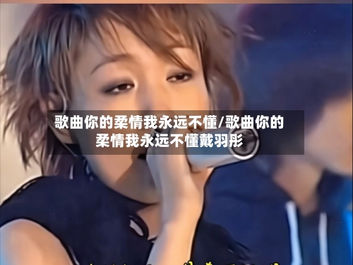 歌曲你的柔情我永远不懂/歌曲你的柔情我永远不懂戴羽彤-第1张图片