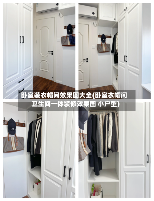 卧室装衣帽间效果图大全(卧室衣帽间卫生间一体装修效果图 小户型)-第3张图片
