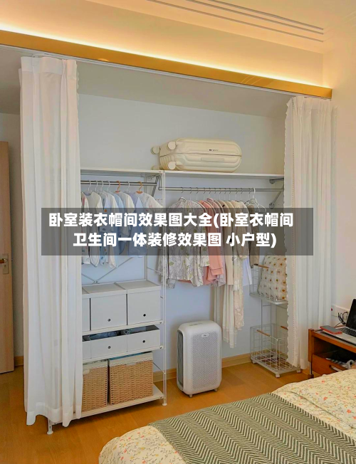 卧室装衣帽间效果图大全(卧室衣帽间卫生间一体装修效果图 小户型)-第1张图片