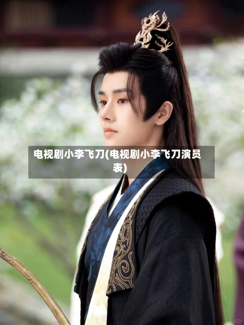 电视剧小李飞刀(电视剧小李飞刀演员表)-第1张图片