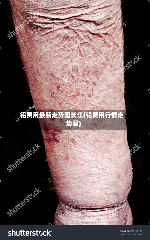 铅费用最新走势图长江(铅费用行情走势图)-第1张图片