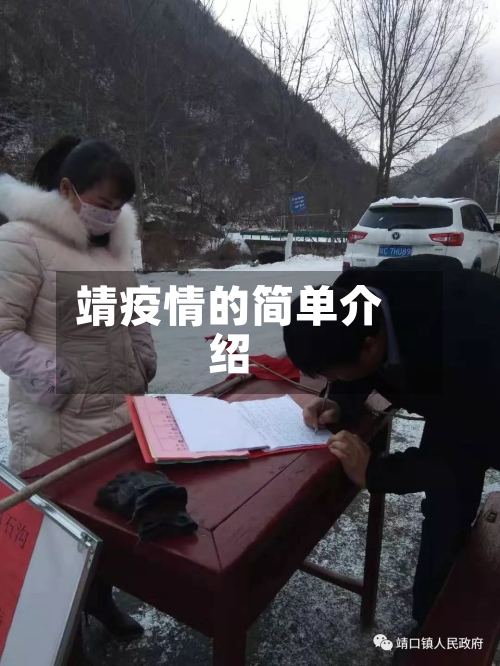 靖疫情的简单介绍-第1张图片