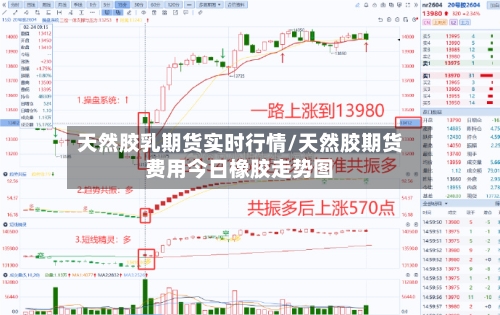 天然胶乳期货实时行情/天然胶期货费用今日橡胶走势图-第1张图片