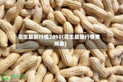 花生最新行情2015(花生最新行情费用表)-第1张图片