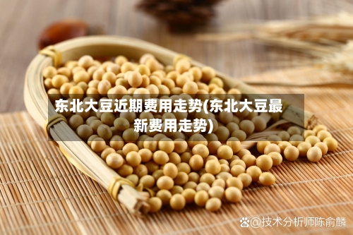 东北大豆近期费用走势(东北大豆最新费用走势)-第2张图片