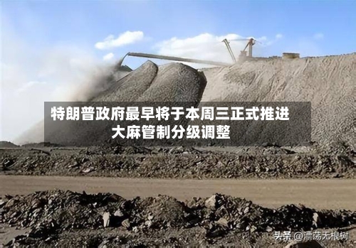 特朗普政府最早将于本周三正式推进大麻管制分级调整-第3张图片