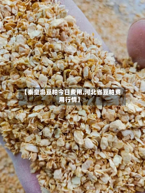 【秦皇岛豆粕今日费用,河北省豆粕费用行情】-第2张图片