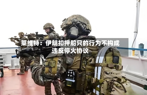 莱维特：伊朗扣押船只的行为不构成违反停火协议-第1张图片