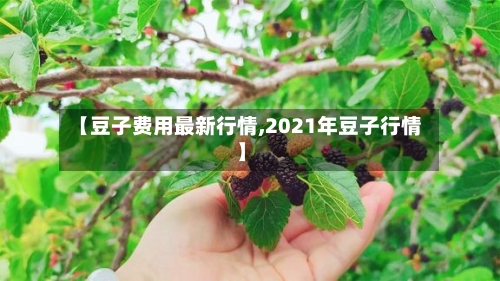 【豆子费用最新行情,2021年豆子行情】-第2张图片