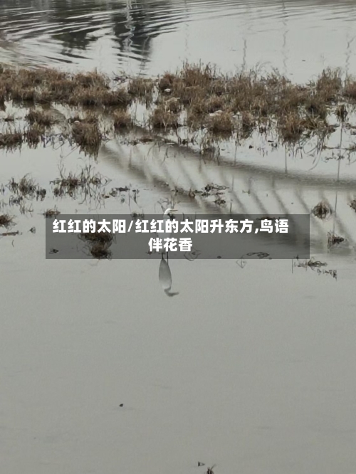 红红的太阳/红红的太阳升东方,鸟语伴花香-第3张图片