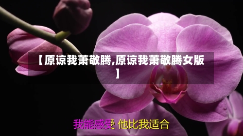 【原谅我萧敬腾,原谅我萧敬腾女版】-第3张图片