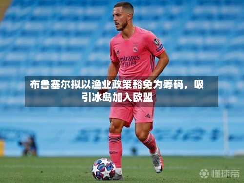 布鲁塞尔拟以渔业政策豁免为筹码，吸引冰岛加入欧盟-第2张图片