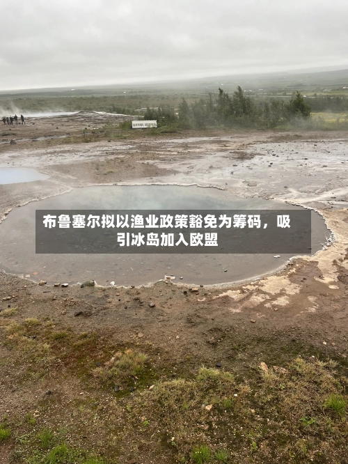 布鲁塞尔拟以渔业政策豁免为筹码，吸引冰岛加入欧盟-第3张图片