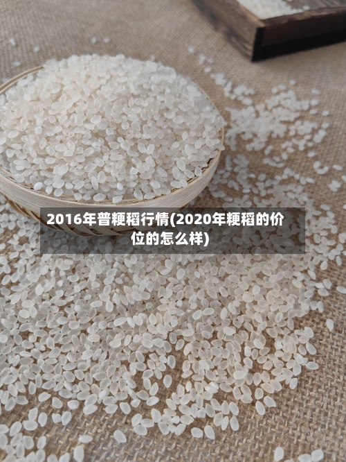 2016年普粳稻行情(2020年粳稻的价位的怎么样)-第3张图片