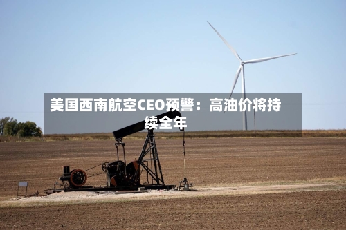美国西南航空CEO预警：高油价将持续全年-第2张图片