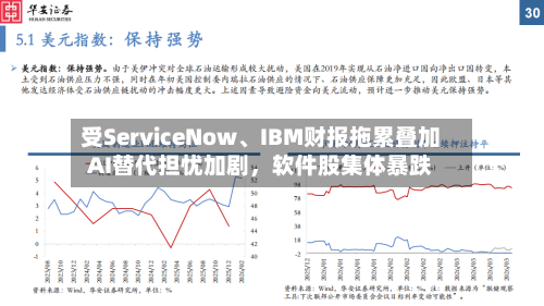 受ServiceNow、IBM财报拖累叠加AI替代担忧加剧，软件股集体暴跌-第3张图片