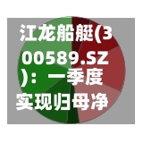 江龙船艇(300589.SZ)：一季度实现归母净利润320.11万元-第1张图片
