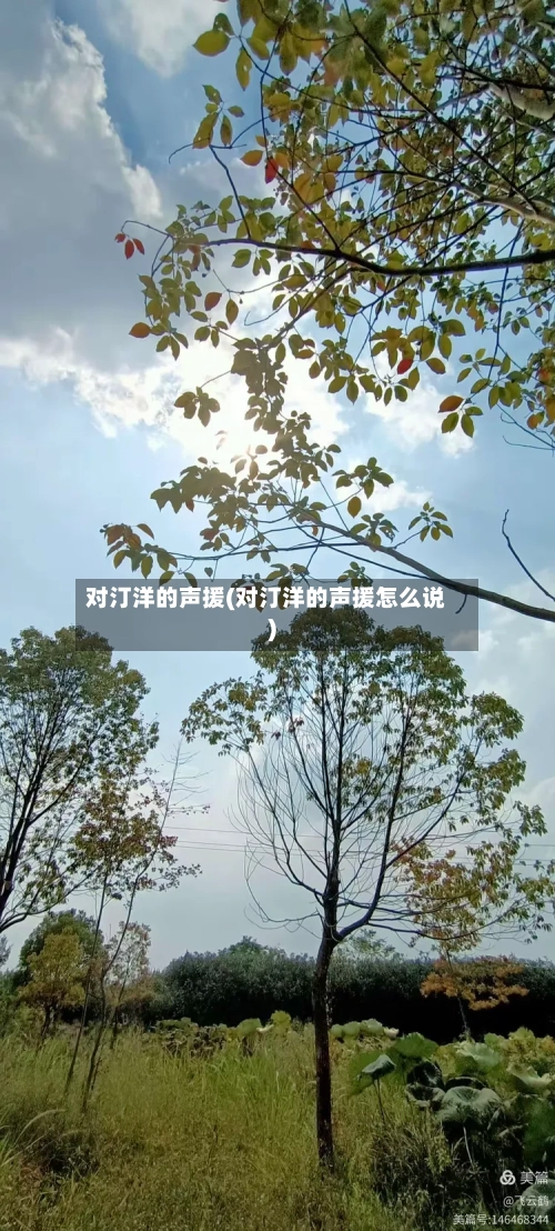 对汀洋的声援(对汀洋的声援怎么说)-第3张图片