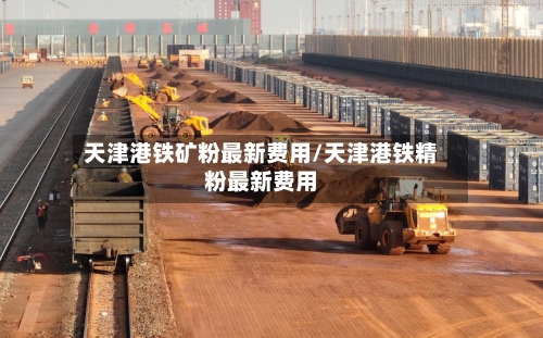 天津港铁矿粉最新费用/天津港铁精粉最新费用-第1张图片