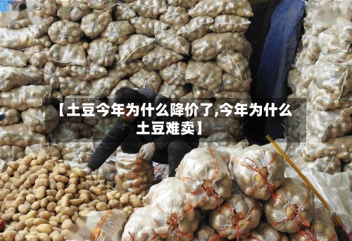 【土豆今年为什么降价了,今年为什么土豆难卖】-第2张图片