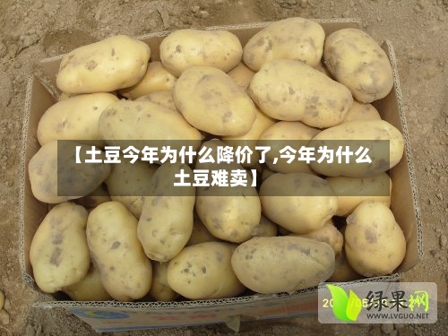 【土豆今年为什么降价了,今年为什么土豆难卖】-第1张图片